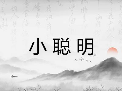 小聪明