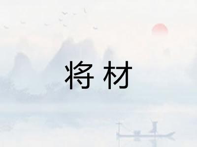 将材