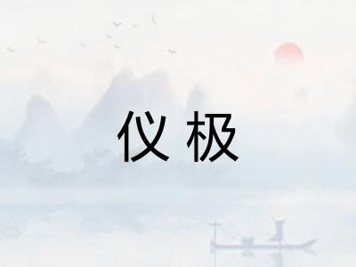 仪极