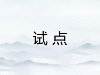 试点