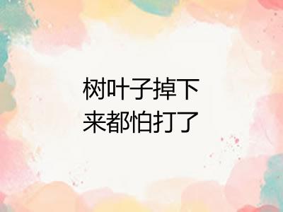 树叶子掉下来都怕打了头