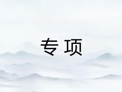 专项