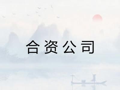 合资公司