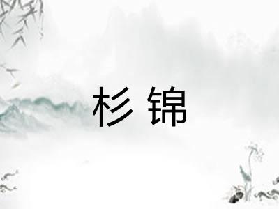 杉锦