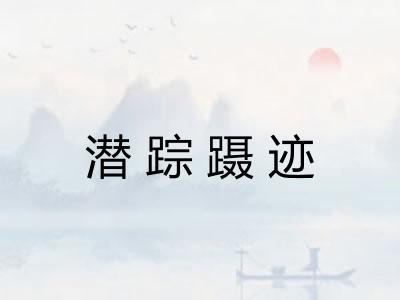 潜踪蹑迹