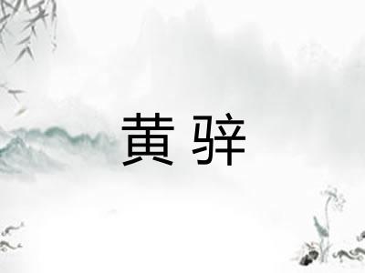 黄骍