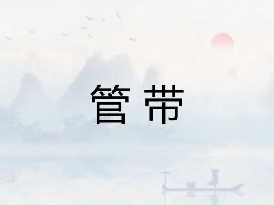 管带