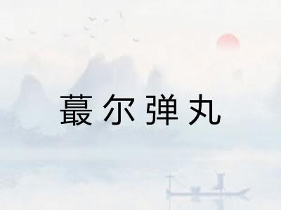 蕞尔弹丸