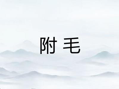 附毛