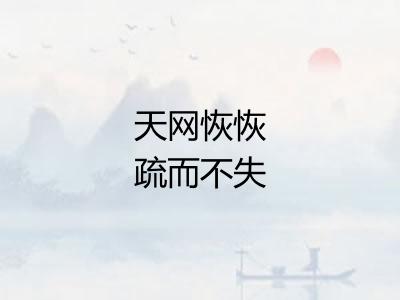 天网恢恢疏而不失