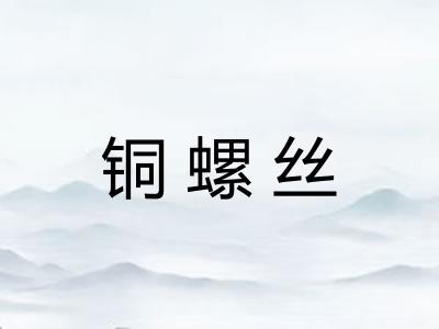 铜螺丝