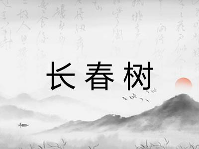 长春树