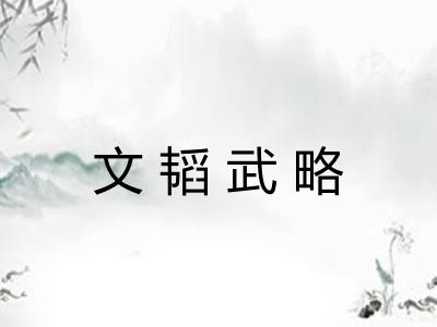 文韬武略