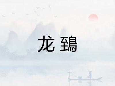 龙鵄