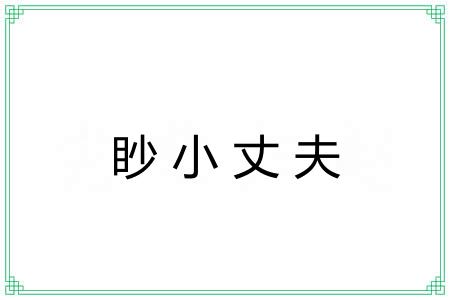 眇小丈夫