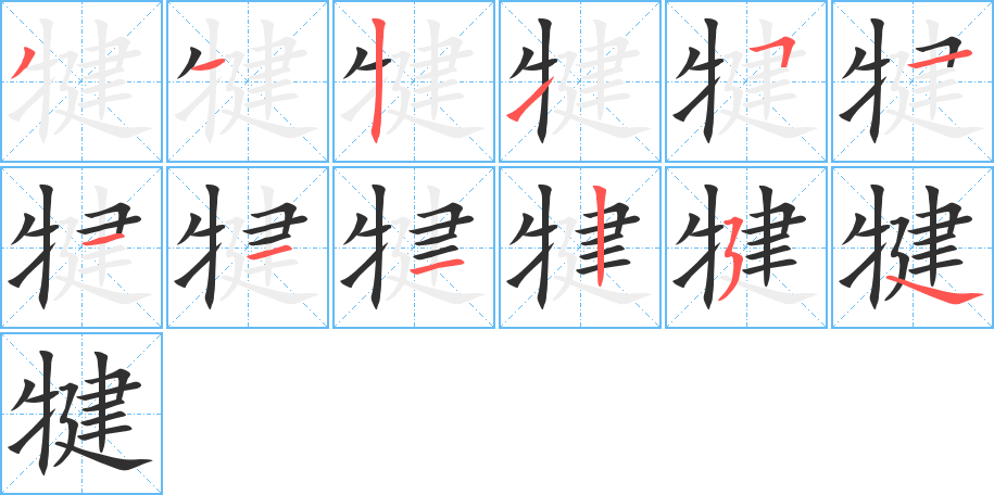 犍的笔顺分步演示图